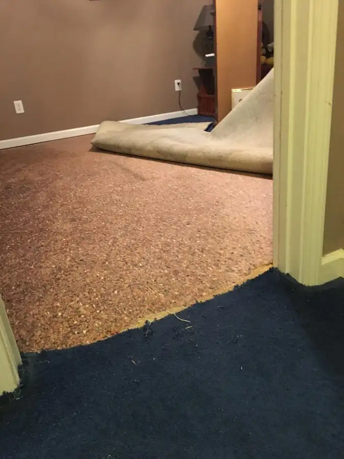 Carpet pad removal revealing water damage during Drying & Dehumidification in Star