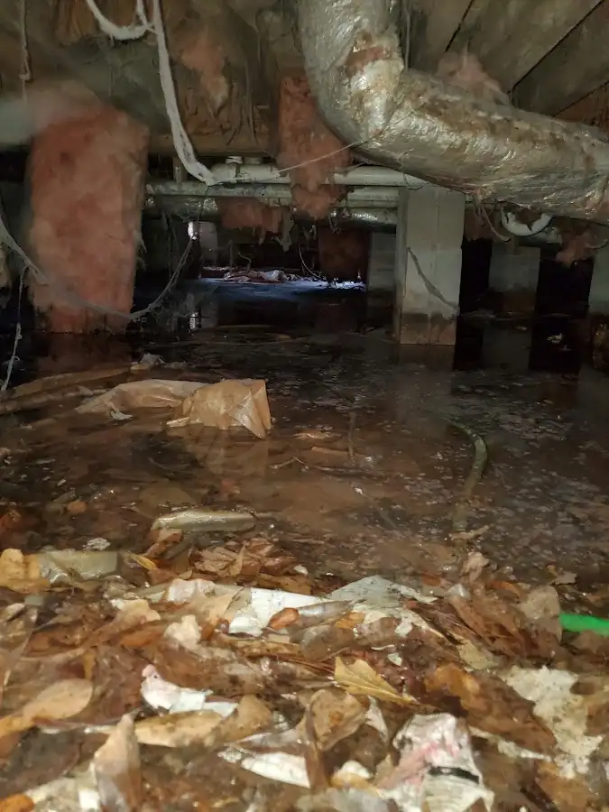 Crawl space flood assessment for Leak Detection & Repair in Star