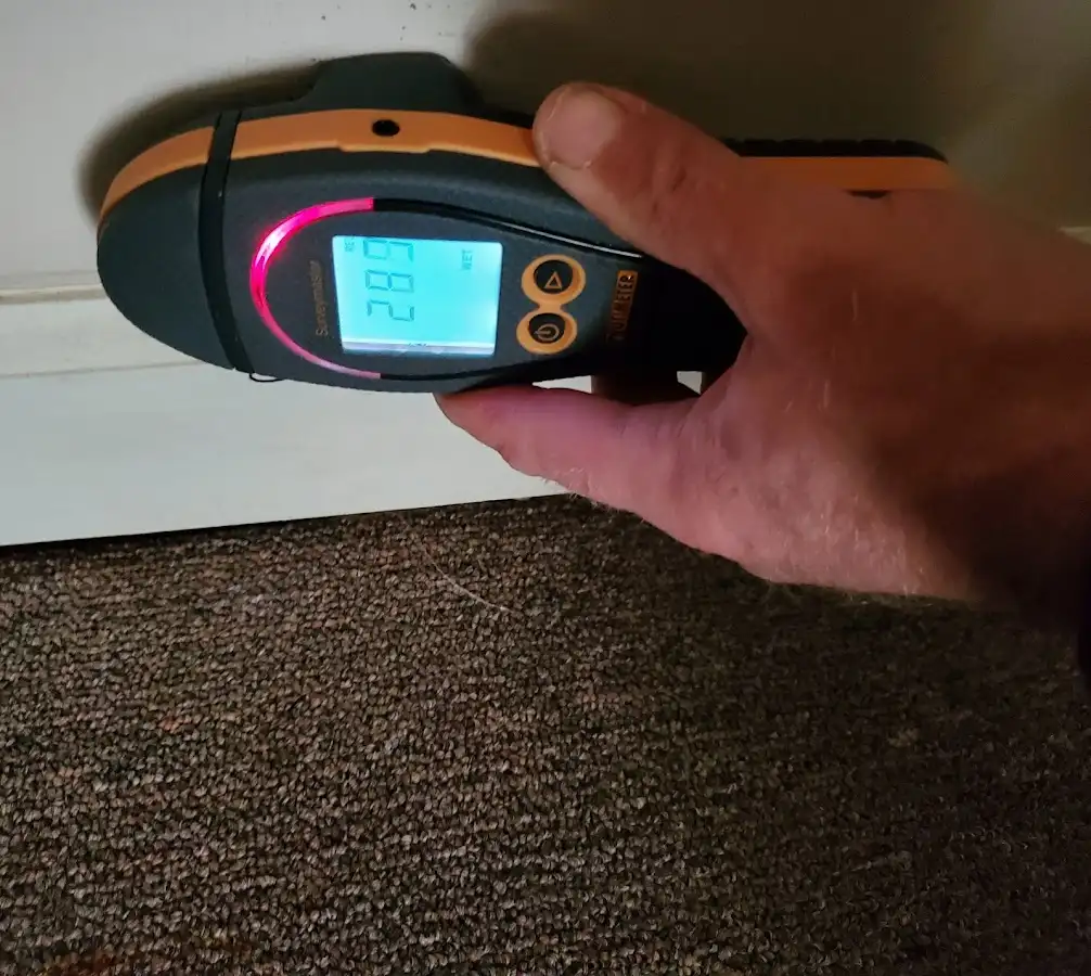 Moisture detection at baseboard during Sewage Cleanup & Sanitation in Star